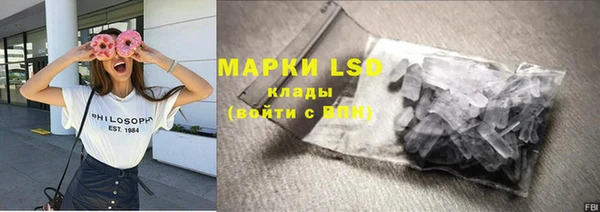 шишки Володарск