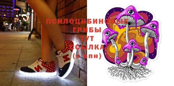 шишки Володарск