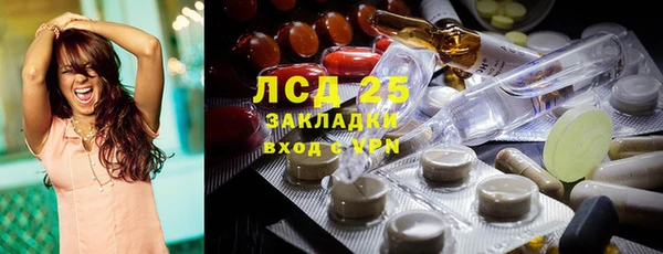 шишки Володарск